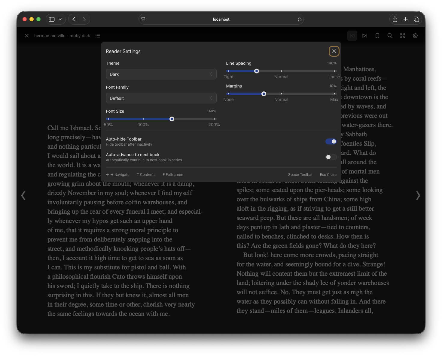 EPUB Reader Settings